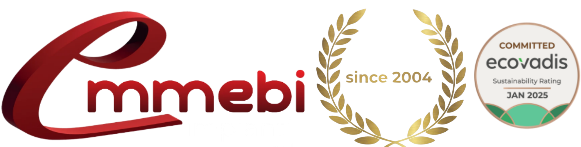 Emmebi Impianti Srl